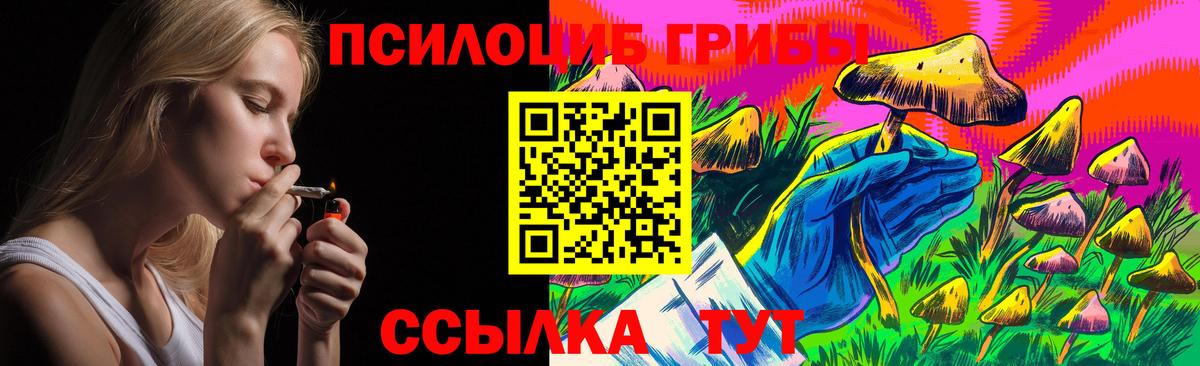 Галлюциногенные грибы GOLDEN TEACHER  Вход с VPN  Тамбов 